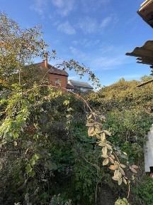 Одеська область, Чорноморськ