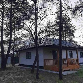 Продаж будинку, В. Дубечня, сосни!