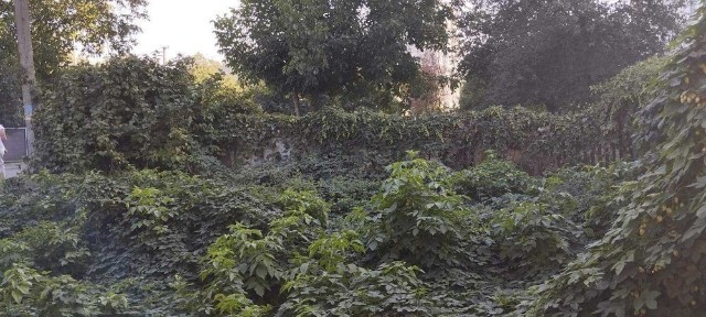 частина будинку з окремим входом