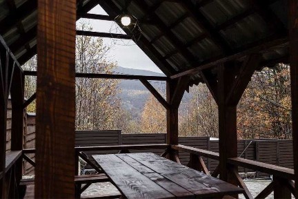 Закарпатська область, Синяк