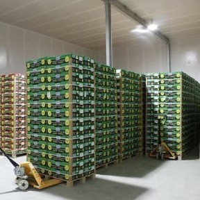 Одеська область, Одеса, Приморський