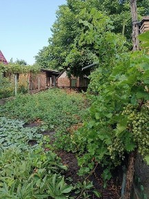 Кіровоградська область, Кропивницький, Фортечний