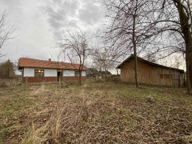 Івано-Франківська область, Коломия