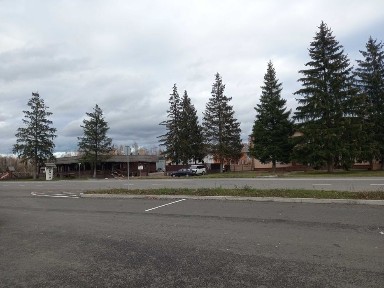 Продам ЦМК, МИТНИЙ ТЕРМІНАЛ, діючий бізнес, 1,84 Га власність