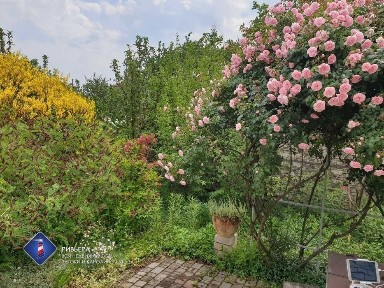 Одеська область, Кароліно-Бугаз