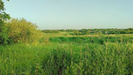 Продам будинк с. Таранівка