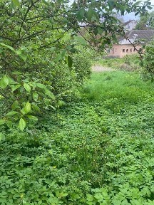 Продам будинок Житомирська область