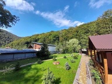 Закарпатська область, Свалява