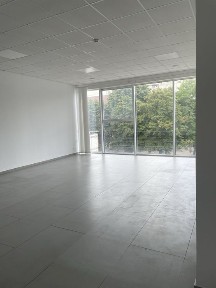 Рівненська область, Рівне