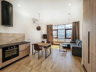 Київська область, Київ, Шевченківський