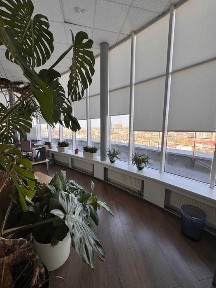 Київська область, Київ, Шевченківський