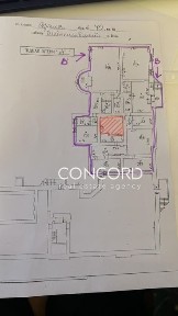 Київська область, Київ, Шевченківський