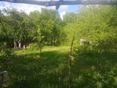 Продается дача. Город Коростень, Житомирской области.