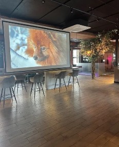 Эксклюзивный дизайнерский офис 170 кв м. Первая аренда. ж/к Альтаир