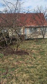 Житомирська область, Буки