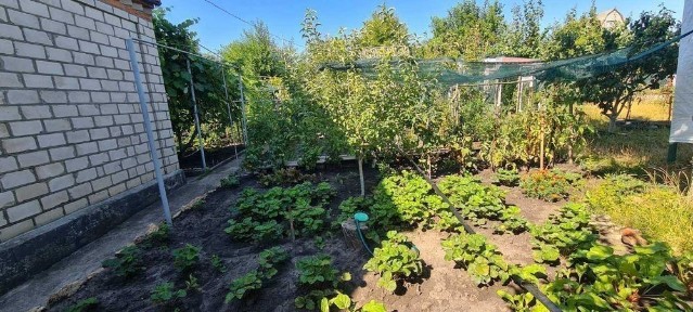 Миколаївська область, Первомайськ