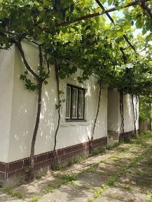 Продам дом Закарпатье Берегуйфолу