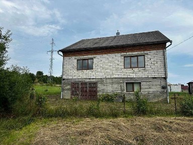 Продається будинок в с. Бедевля