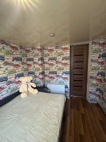 Дніпропетровська область, Кам'янське