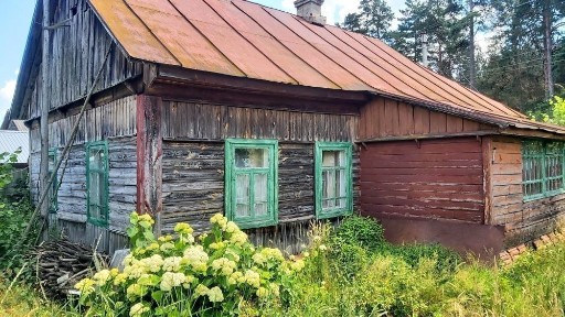 Чернігівська область, Олешня
