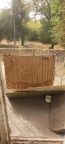 Дніпропетровська область, Кам'янське