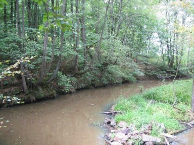 Продаж добротної дачі Бобровський -2