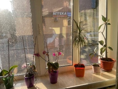 Продаж 3 к квартири. Виставка. 1 поверх