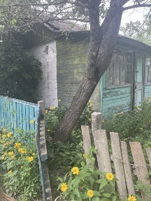 Жавинка, Волна 165