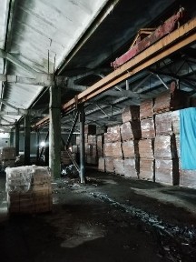 Івано-Франківська область, Коломия