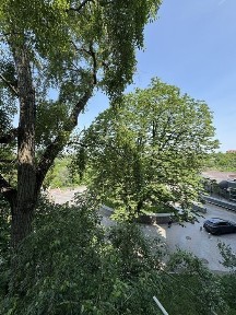 Велика Житомирська 24Б, Рейтерська, Пейзажна алея. Золоті ворота.