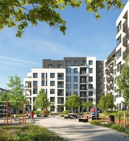 Рівненська область, Рівне