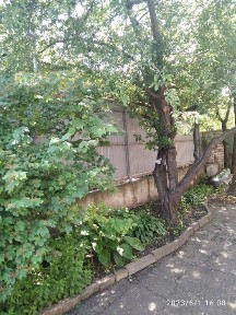 Харківська область, Харків, Немишлянський