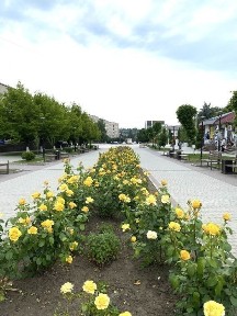 Продаж будинку в мальвничому містечку