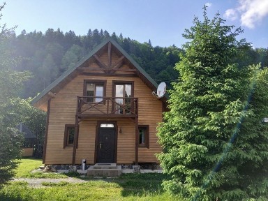 Коттедж в Карпатах (Корні)