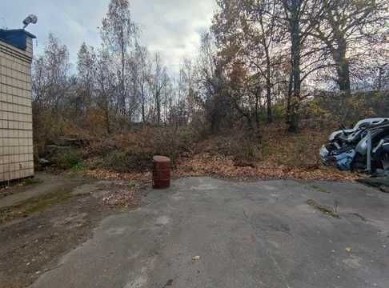 Київська область, Київ, Голосіївський