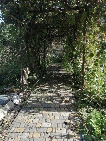 Одеська область, Одеса, Київський