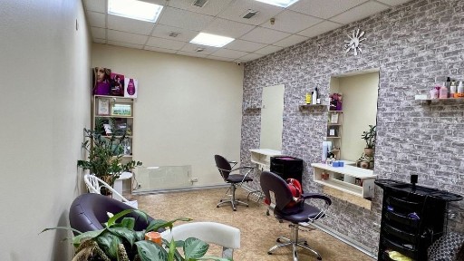 Київська область, Київ, Шевченківський