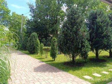 Закарпатська область, Поляна