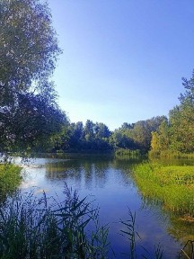 Продажа дачі в СТ Славутич с. Коробівка