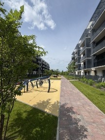 Волинська область, Липини