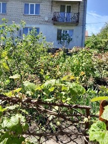 Квартира з ділянкою