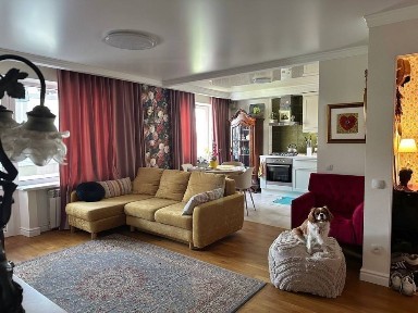 Дніпропетровська область, Дніпро, Центральний