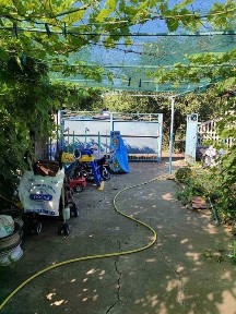 Чутове, окремий будинок з родючою земельною ділянкою.