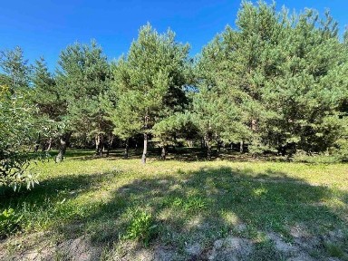 Продаж будинку 50м та ділянки 21с с. В'язова біля Жовкви