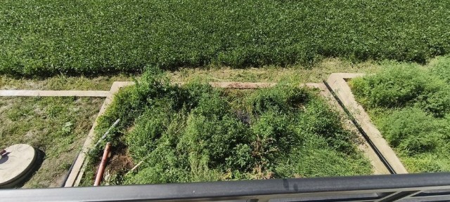 Чернівецька область, Чернівці