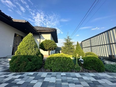 Київська область, Осещина