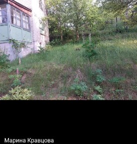 Продам дачу в Солоницевке