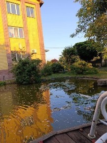 Здам частину будинку 100 кв. м в Горішніх Плавнях