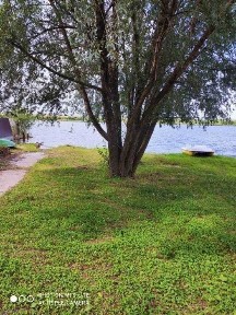 Сдам дом посуточно