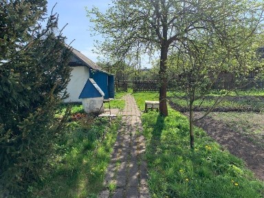 БУДИНОК з ділянкою та господарськими прибудівлями БОРОВЕ, Великі Мости